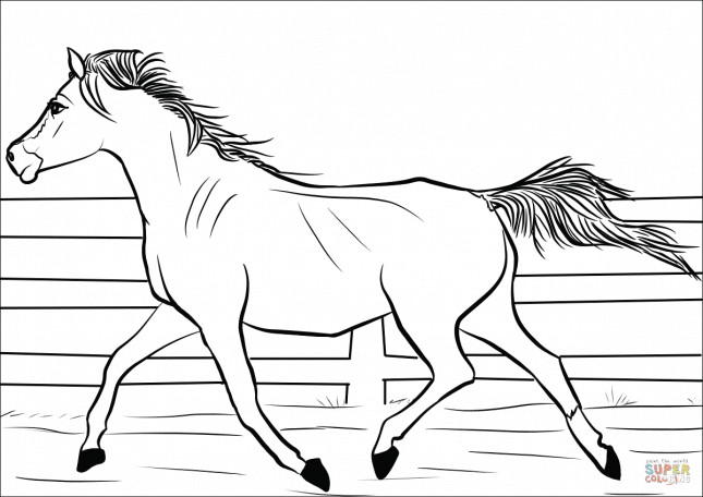 337 ausmalbilder pferde zum ausdruck  kostenlose malvorlagen pferde