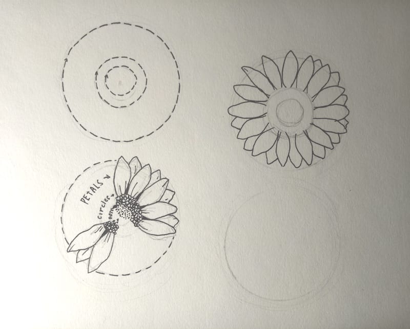 Sonnenblume zeichnen 1