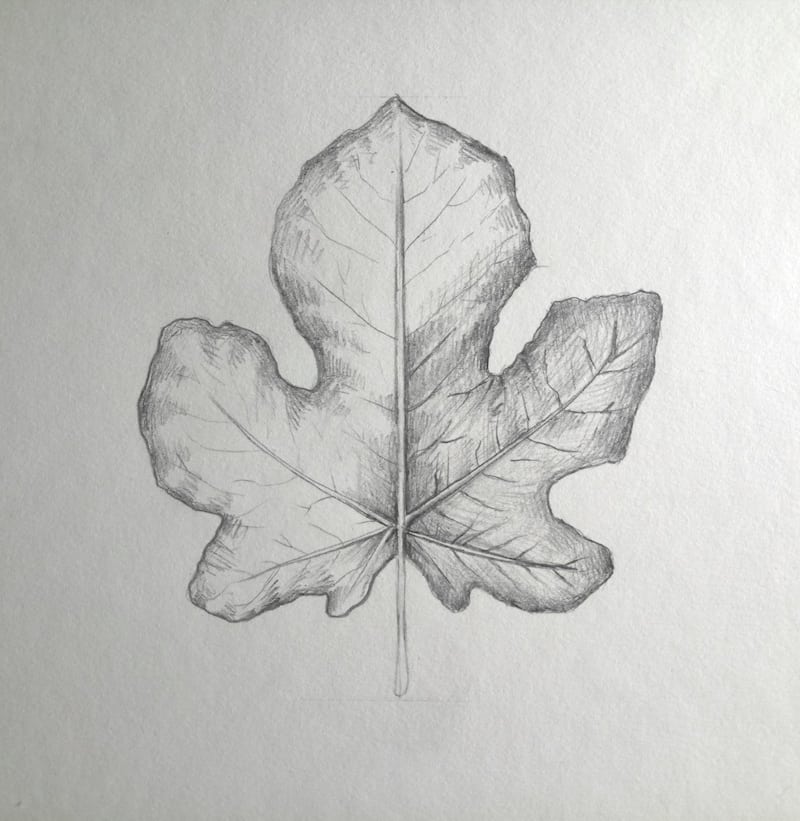 Blätter zeichnen 10