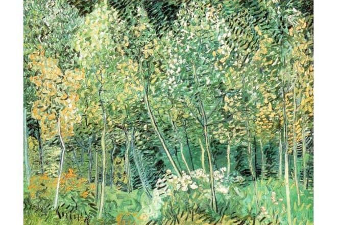 Vincent-van-Gogh-Sous-bois