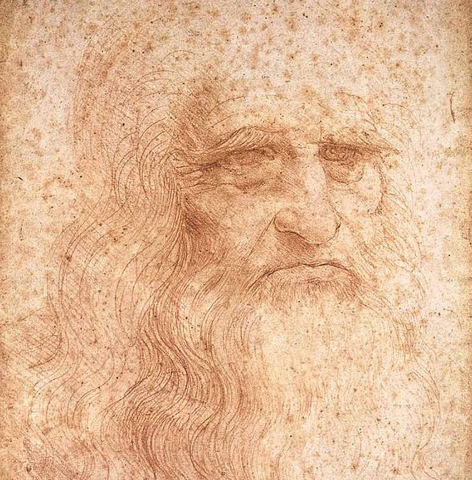 Leonardo da Vinci Portrait