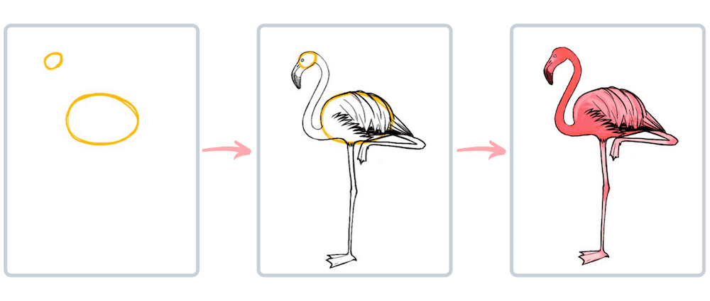 Flamingo Vögel malen Progression