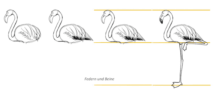 Flamingo Vögel zeichnen