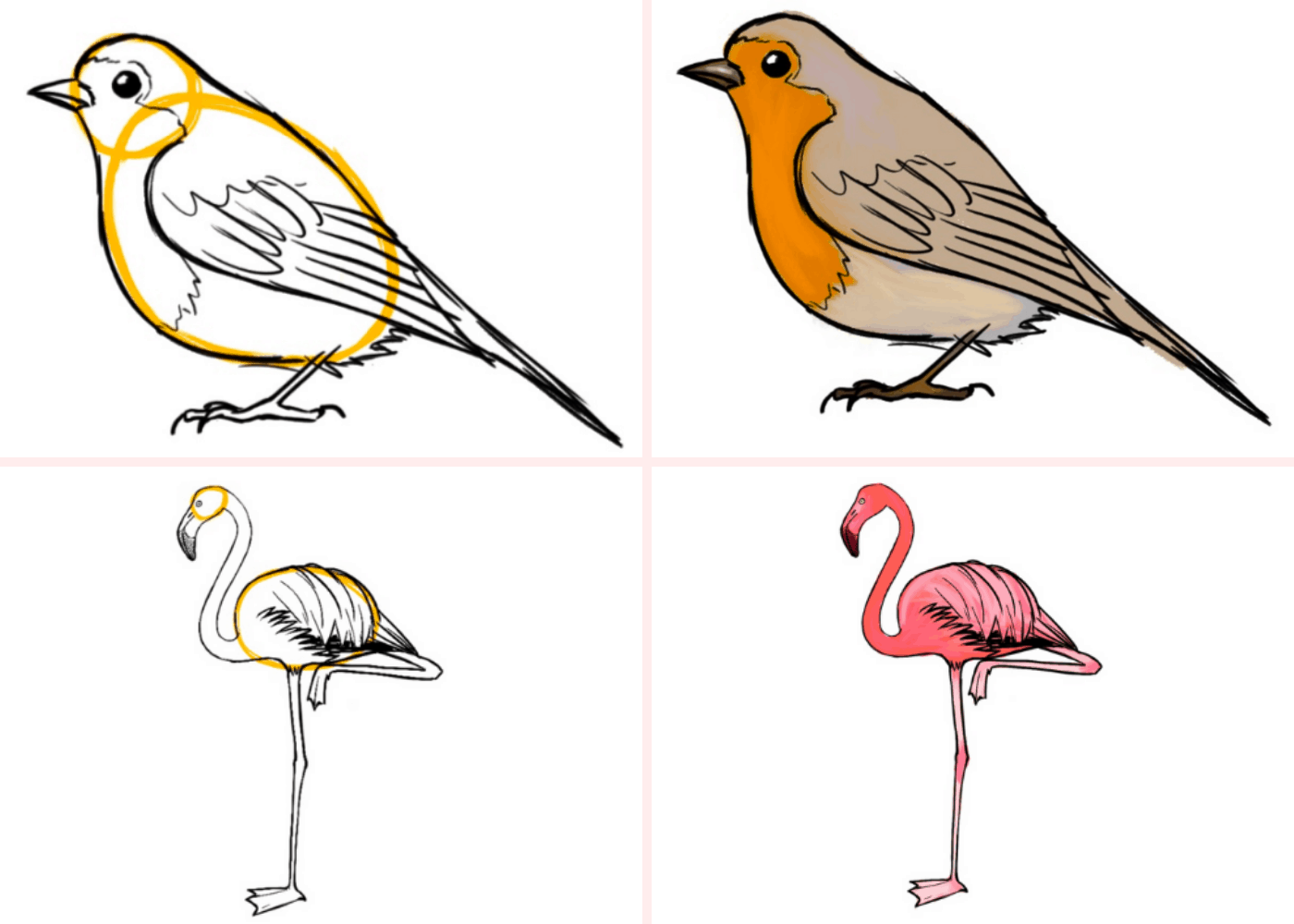 Vögel zeichnen lernen