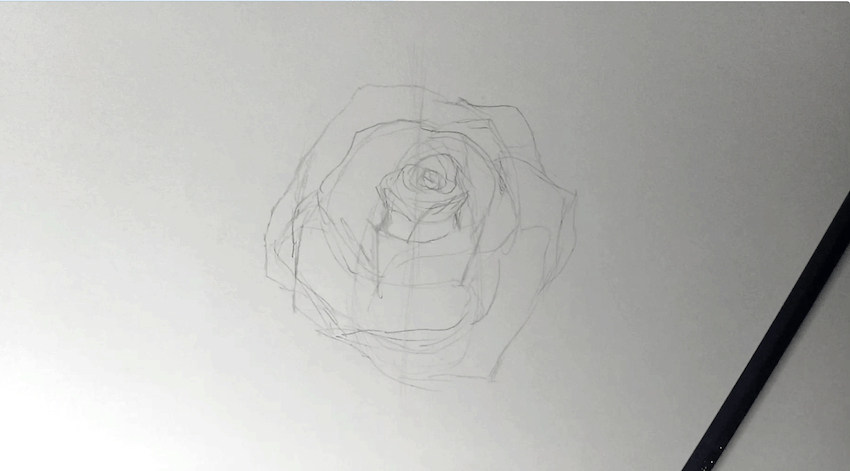 Rose zeichnen 1