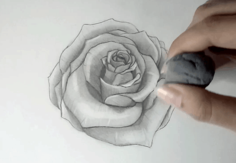 Rose zeichnen 12