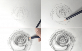 Rose zeichnen