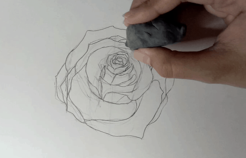Rose zeichnen 3