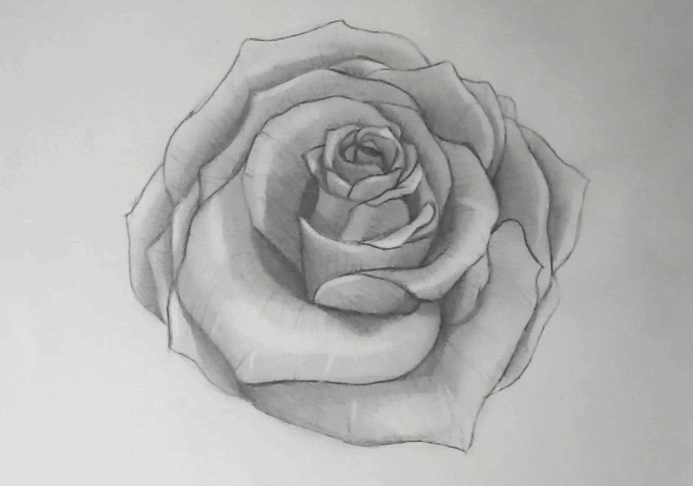 Rose zeichnen