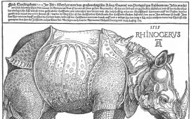 Albrecht Dürer, Rhinozeros, 1515