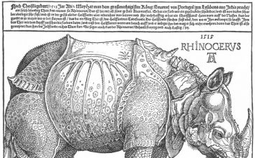 Albrecht Dürer, Rhinozeros, 1515