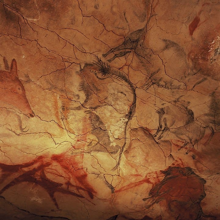 Höhle von Altamira, Bisons