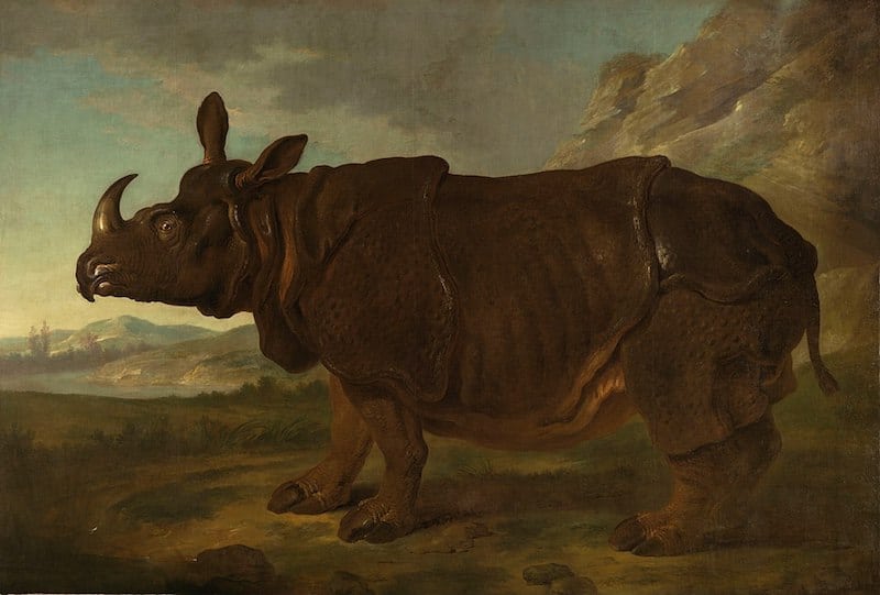 Jean-Baptiste Oudry, Rhinozeros Clara, 1749