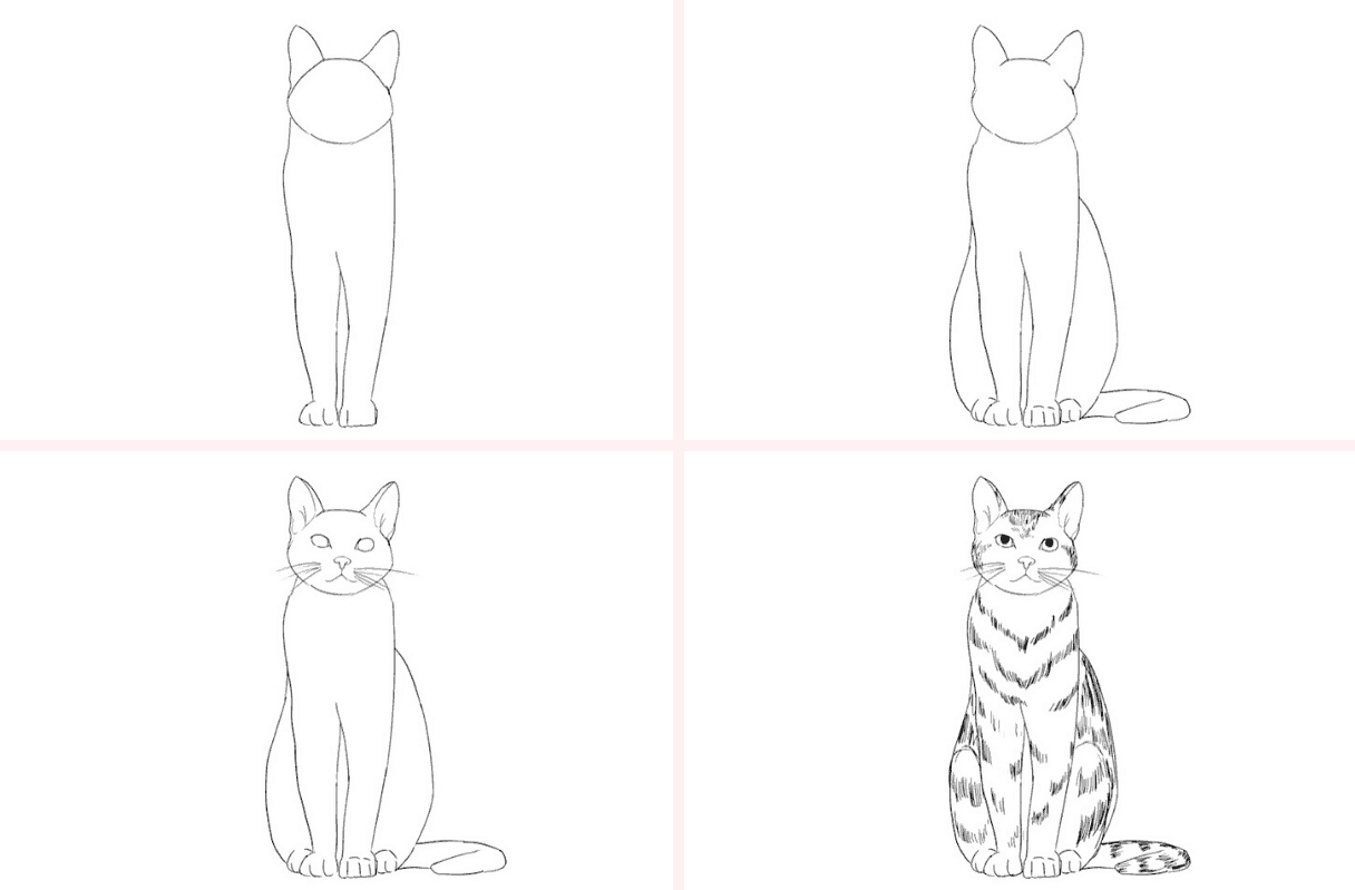 katze zeichnen lernen  5 schritt anleitung für schöne katzen
