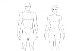 Körper zeichnen lernen Mann u Frau