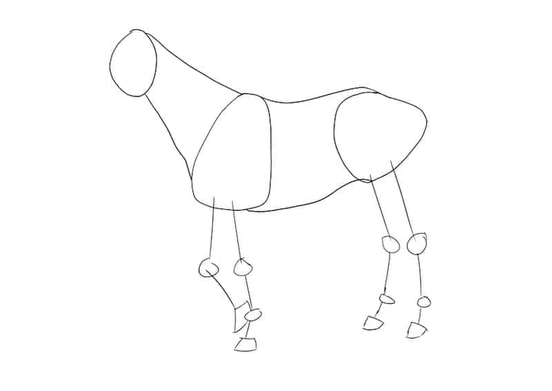 Pferd zeichnen 3