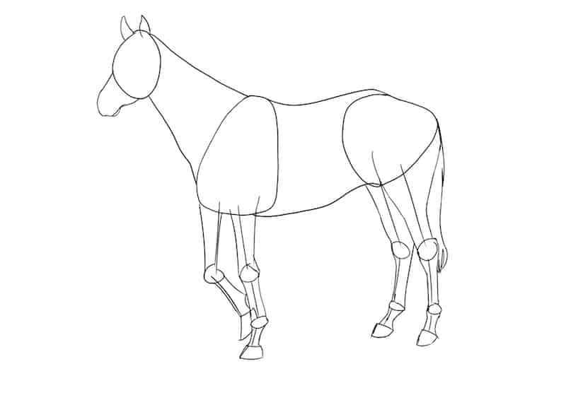 Pferd zeichnen 5
