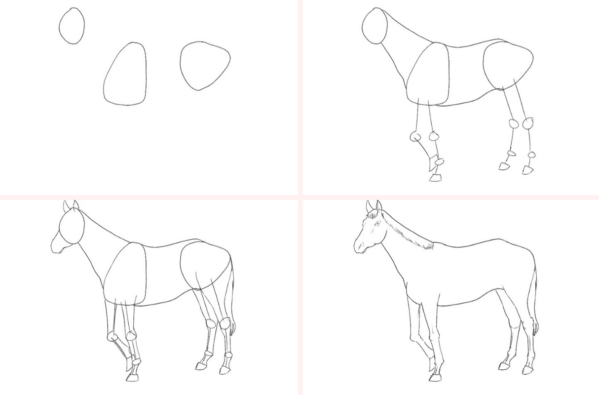 Pferd zeichnen