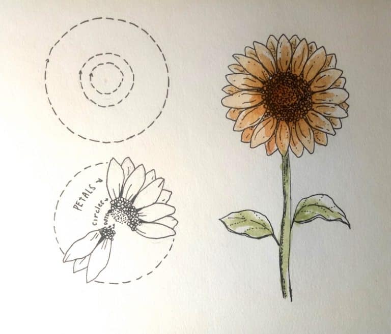  Sonnenblume zeichnen lernen - Komplette Step by Step Anleitung 