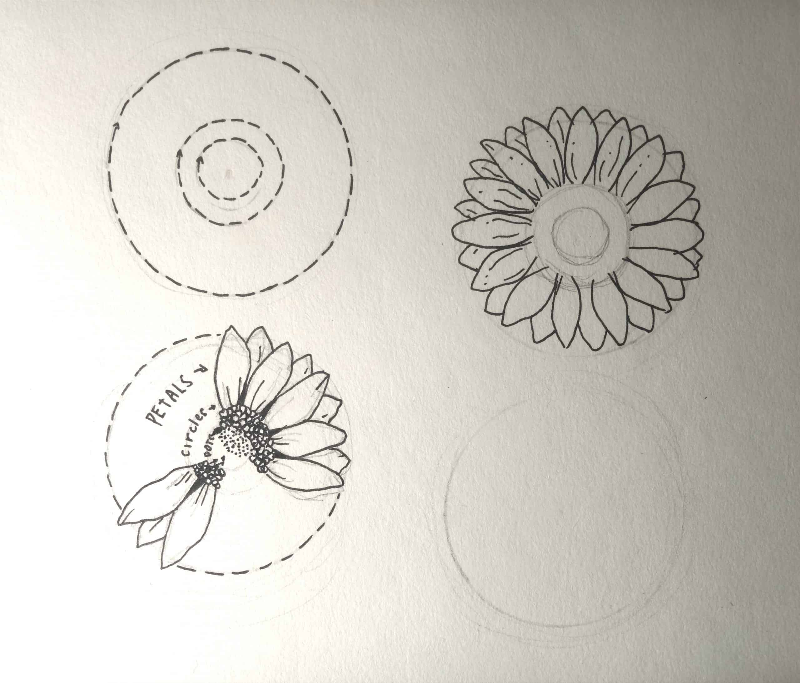 Sonnenblume zeichnen 2