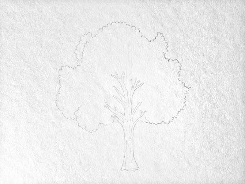 Baum zeichnen 4
