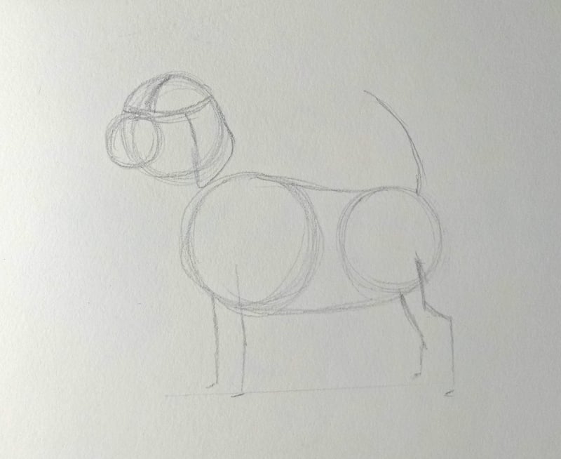 Hund zeichnen 3