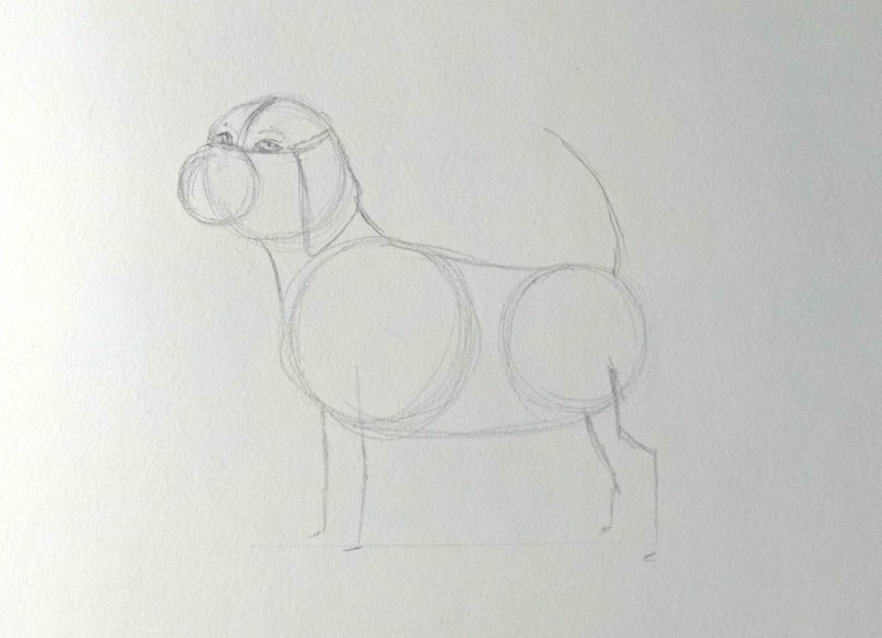 Hund zeichnen 4