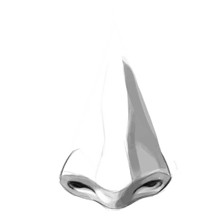 Menschen zeichnen lernen Nase