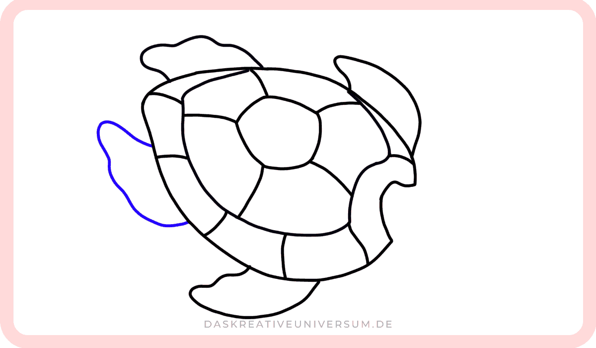 Schildkröte zeichnen 4