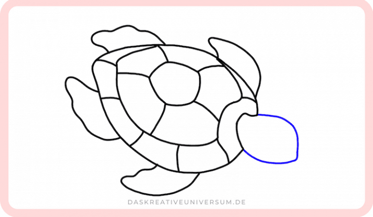  Schildkröte zeichnen lernen - Eine einfache Anleitung für Kinder Illustration 