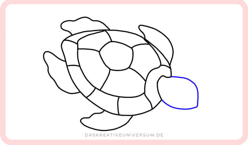 Schildkröte zeichnen Kopf