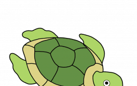 Schildkröte zeichnen lernen