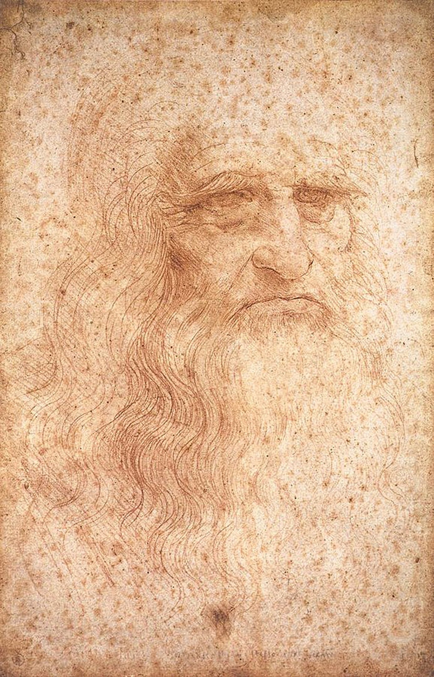 Selbstbildnis von Leonardo da Vinci