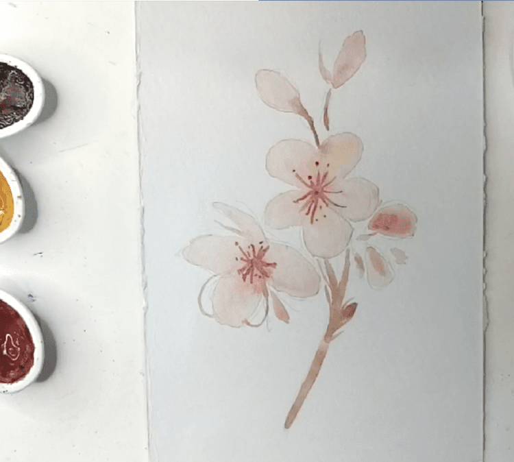 Kirschblüten malen 4