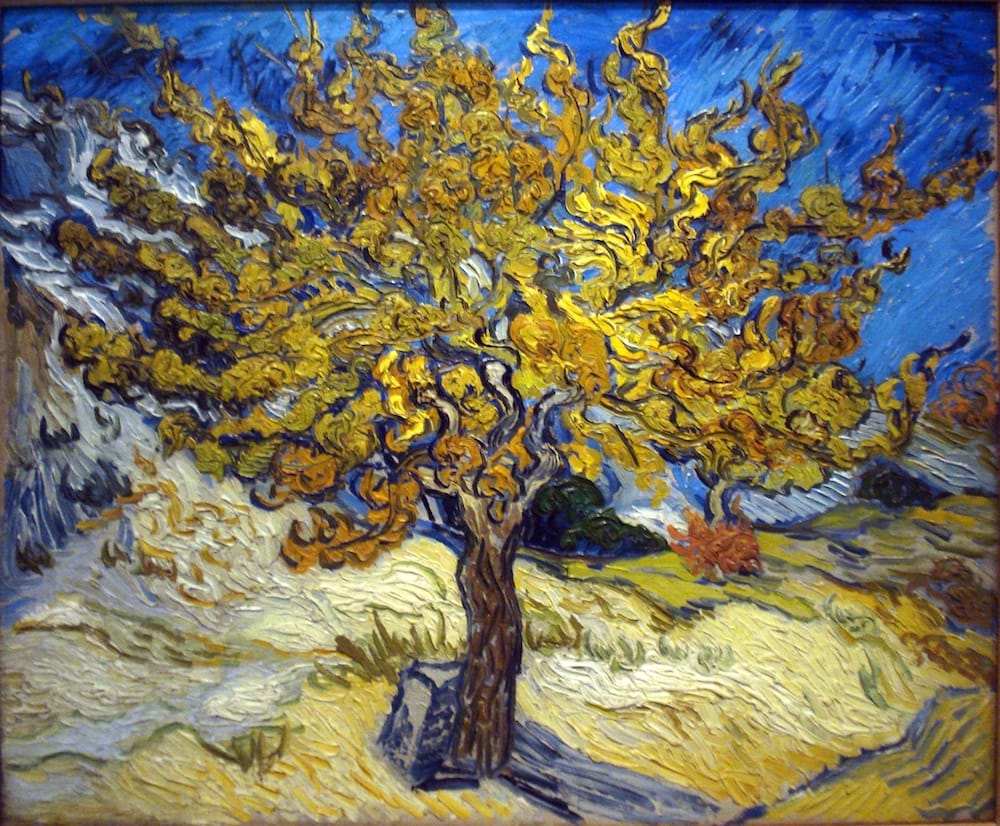 Vincent van Gogh, Maulbeerenbaum, 1889