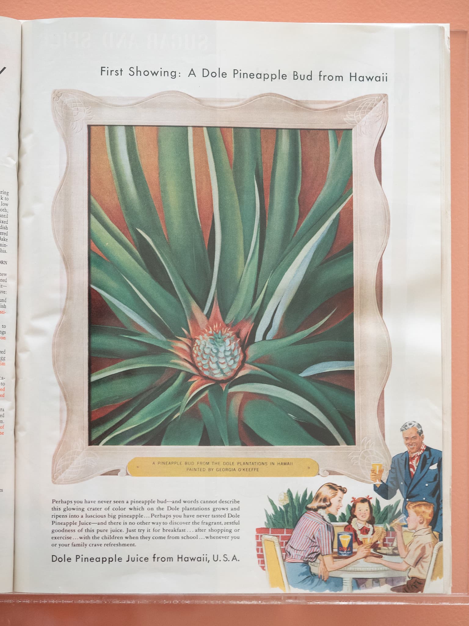 Georgia O'Keeffe, Pineapple Bud, 1939