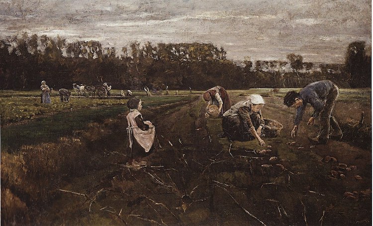 Max Liebermann, Kartoffelernte in Barbizon, 1874