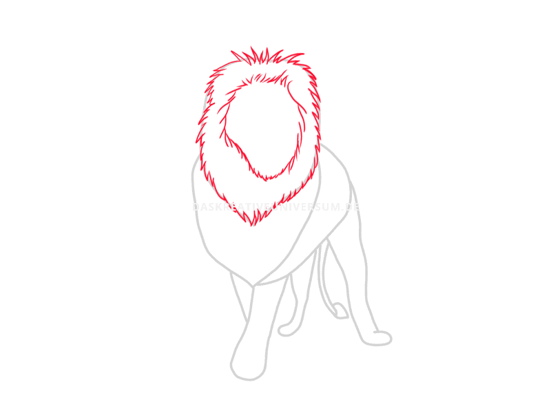 Löwe zeichnen 8