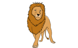 Löwe zeichnen Titelbild