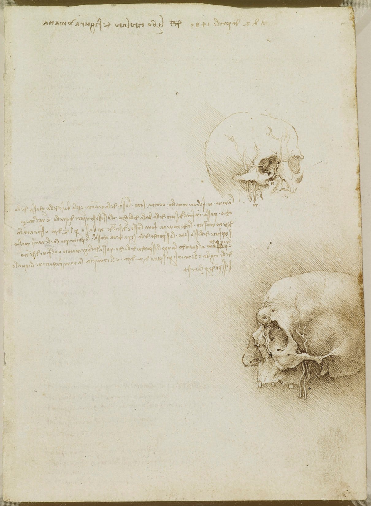 Leonardos Anatomiestudien 1