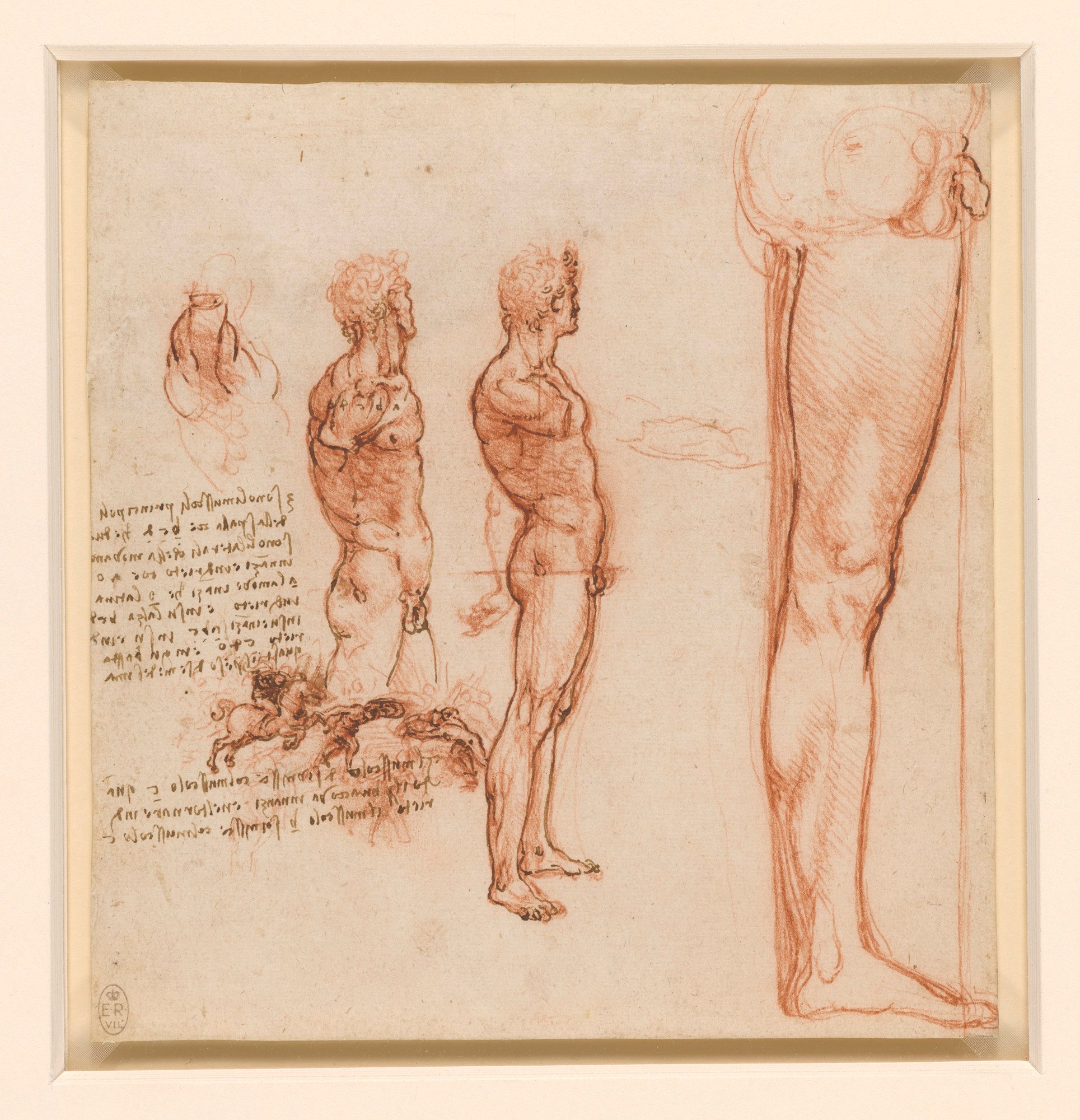 Leonardos Anatomiestudien 4