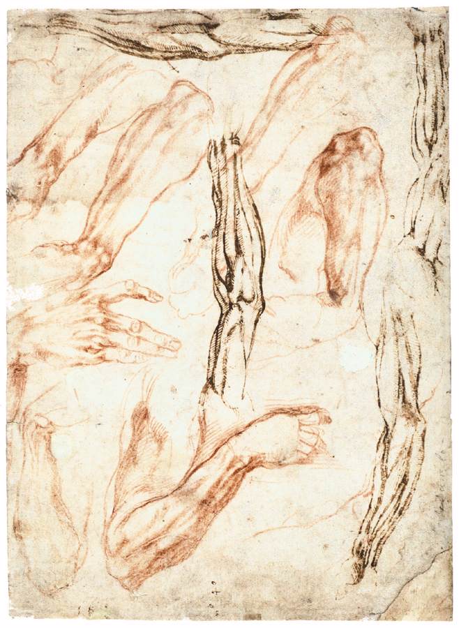 Michelangelos Zeichnungen, Studien von Arm und Hand, c. 1513