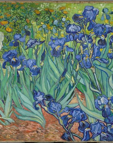 Vincent van Gogh, Schwertlilien, Mai 1889